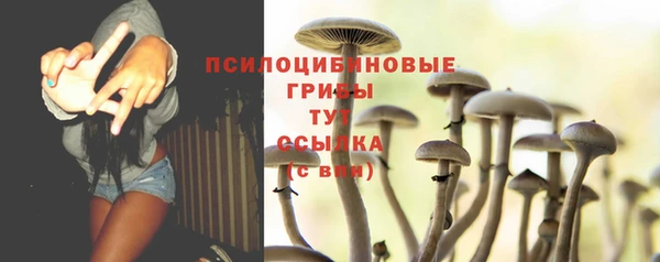 спайс Алексеевка
