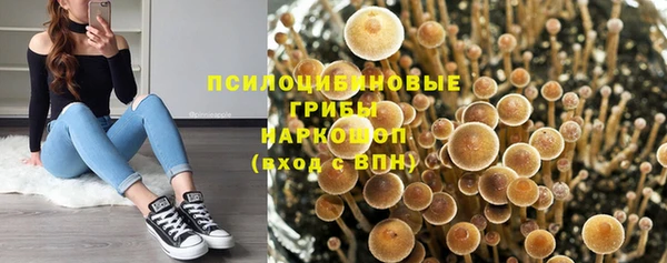 mdpv Алзамай