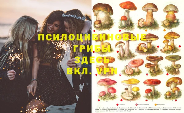 mdpv Алзамай