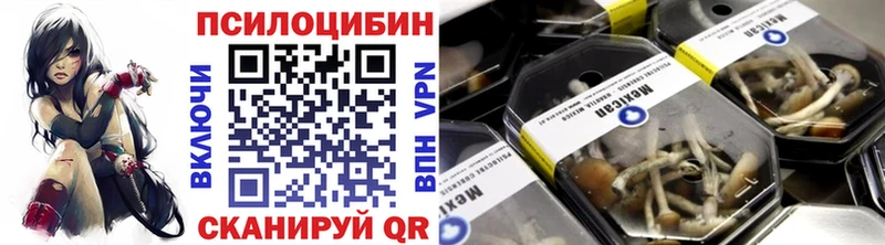 Галлюциногенные грибы Psilocybine cubensis  мега как войти  Камышин 